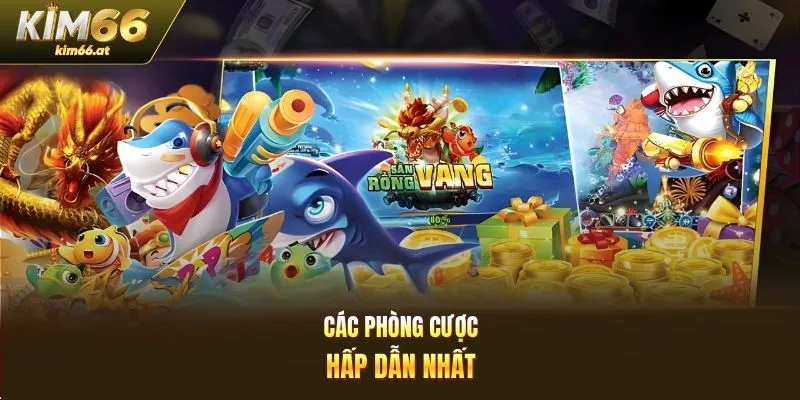 Các phòng cược hấp dẫn nhất