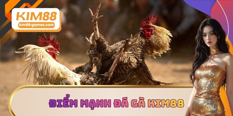Điểm mạnh của sảnh đá gà KIM88 Điểm mạnh của sảnh đá gà KIM88