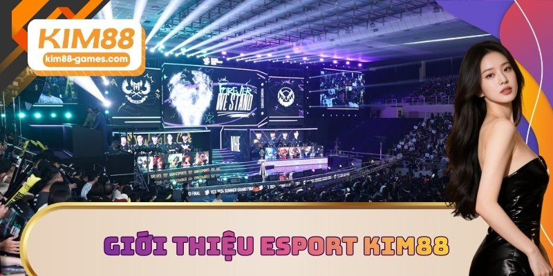 Giới thiệu Esport KIM88 Giới thiệu Esport KIM88