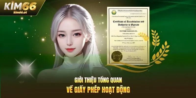 Giới thiệu tổng quan về giấy phép hoạt động