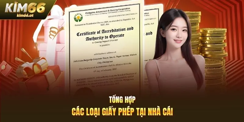 Tổng hợp các loại giấy phép tại nhà cái